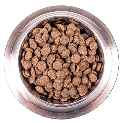 Monge Specialty для взрослых собак всех пород с ягненком, 15 кг